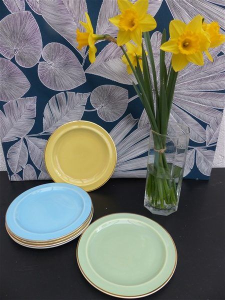 Set of 6 vintage plates Boch Kéraluc Belgium 1950 1960