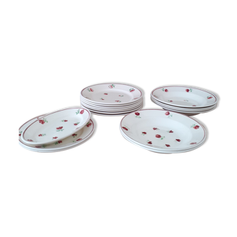 15 plates and a ravier Badonviller models Mireille and Jean