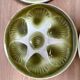 Set of 6 oyster plates in Earthenware Mill of Wolves