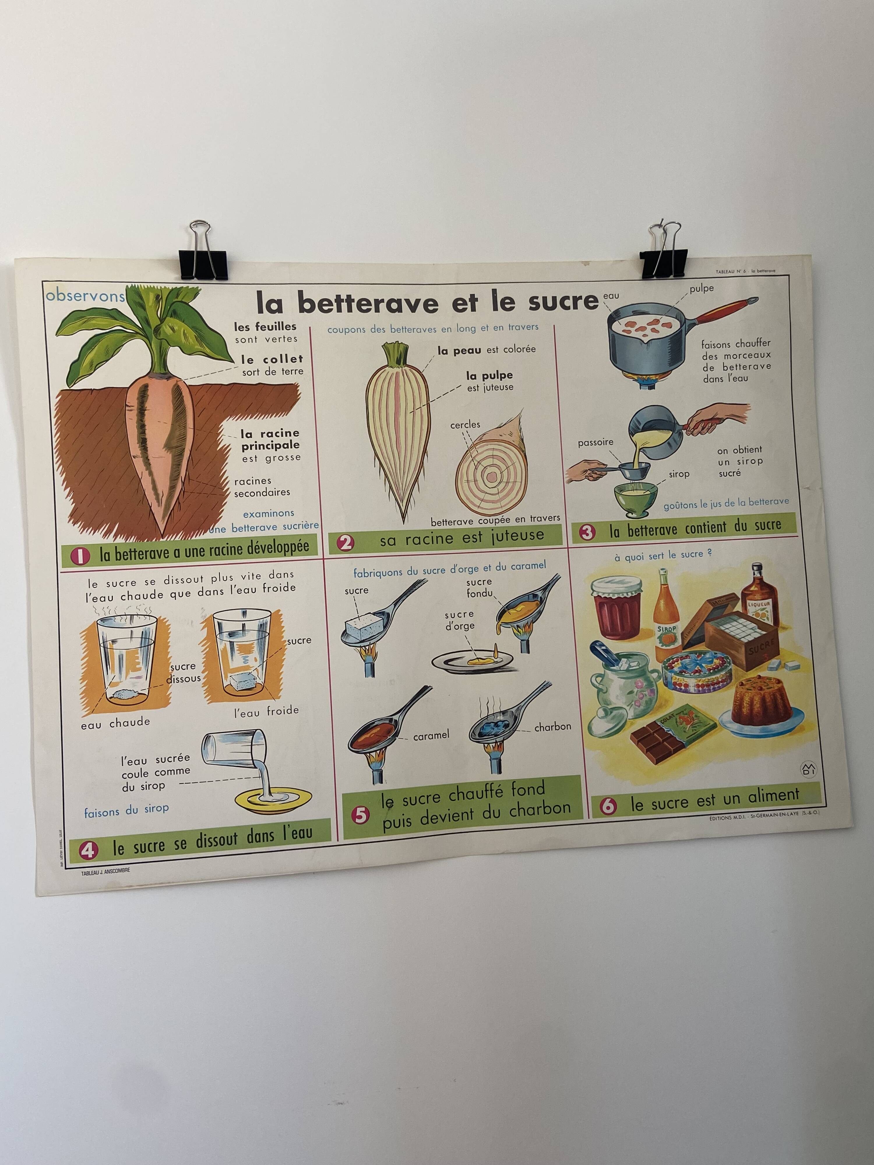 Vintage educational poster