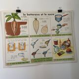 Vintage educational poster