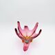 Coupe Murano - Sommerso - Orange & Rose