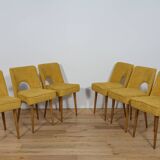 Polish Shell Chairs from Bydgoszcz Furniture Factory, 1960s, Set of 6