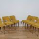 Polish Shell Chairs from Bydgoszcz Furniture Factory, 1960s, Set of 6