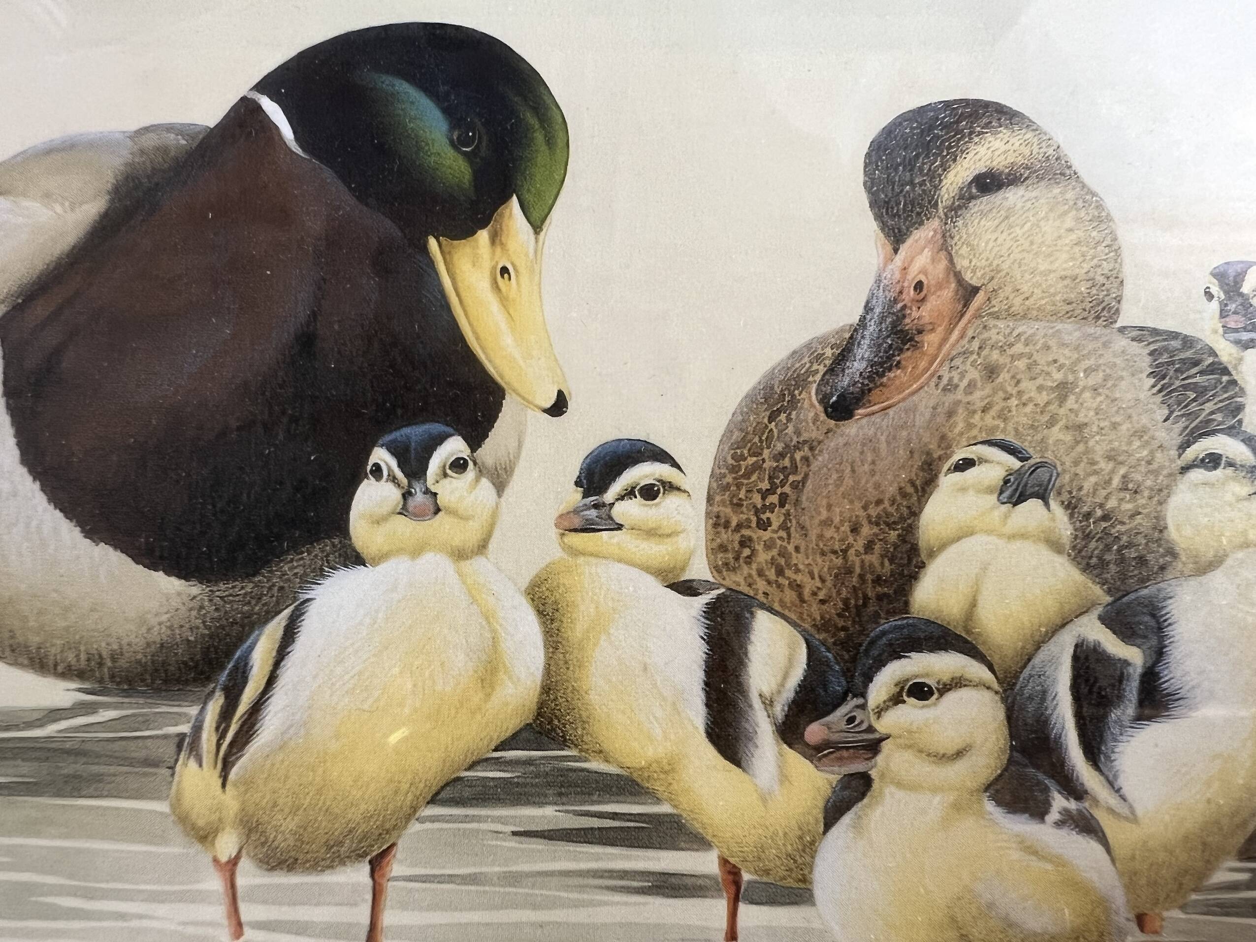 Set of 2 decorative duck wall posters ideal for children's rooms