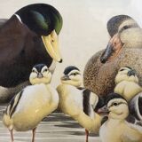 Set of 2 decorative duck wall posters ideal for children's rooms