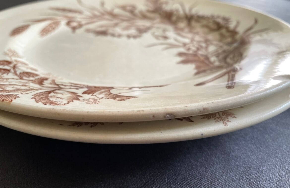 Flat plates iron earth