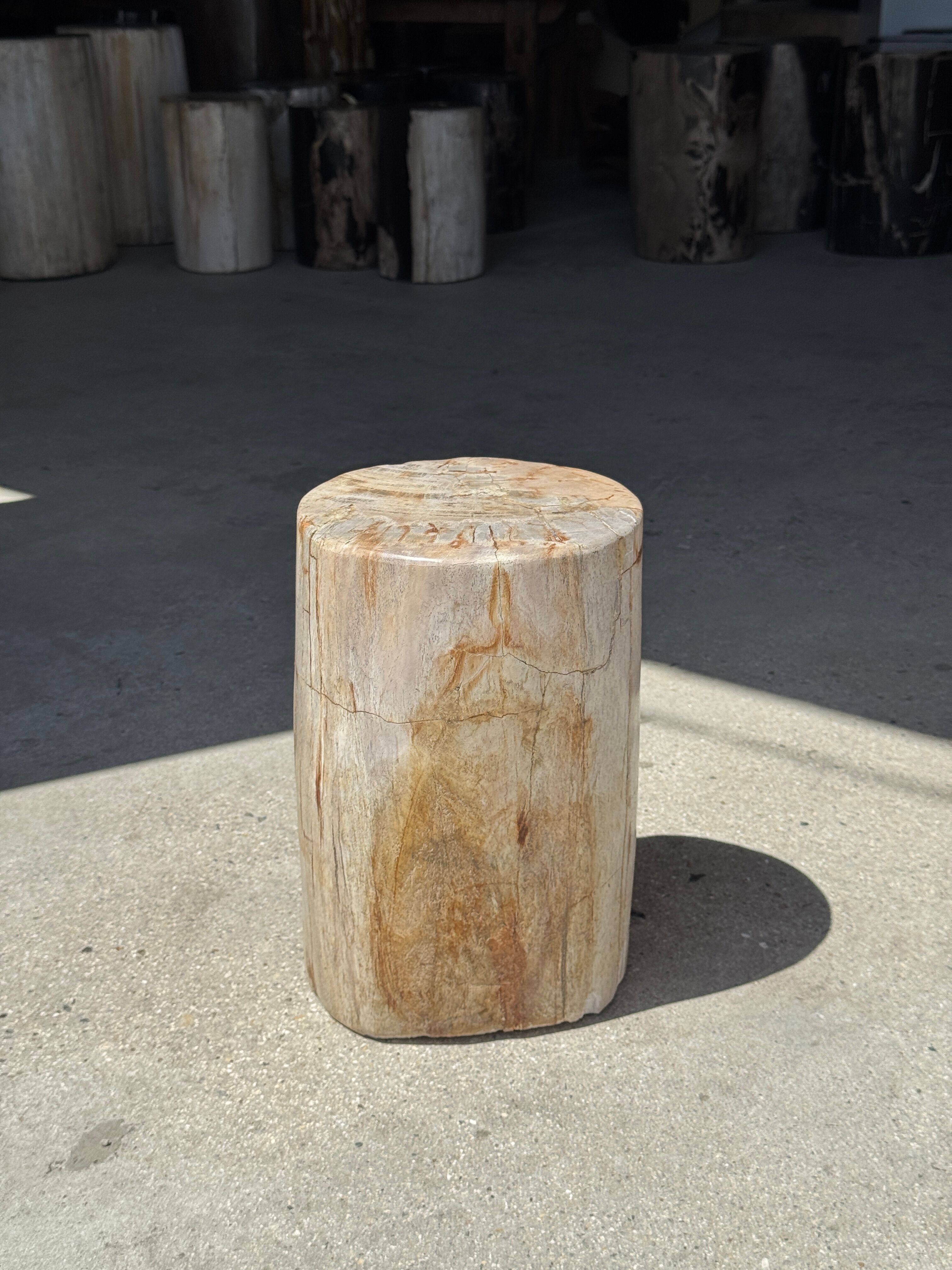 Small side table in white, grey, beige petrified wood H28 D18 - 3330
