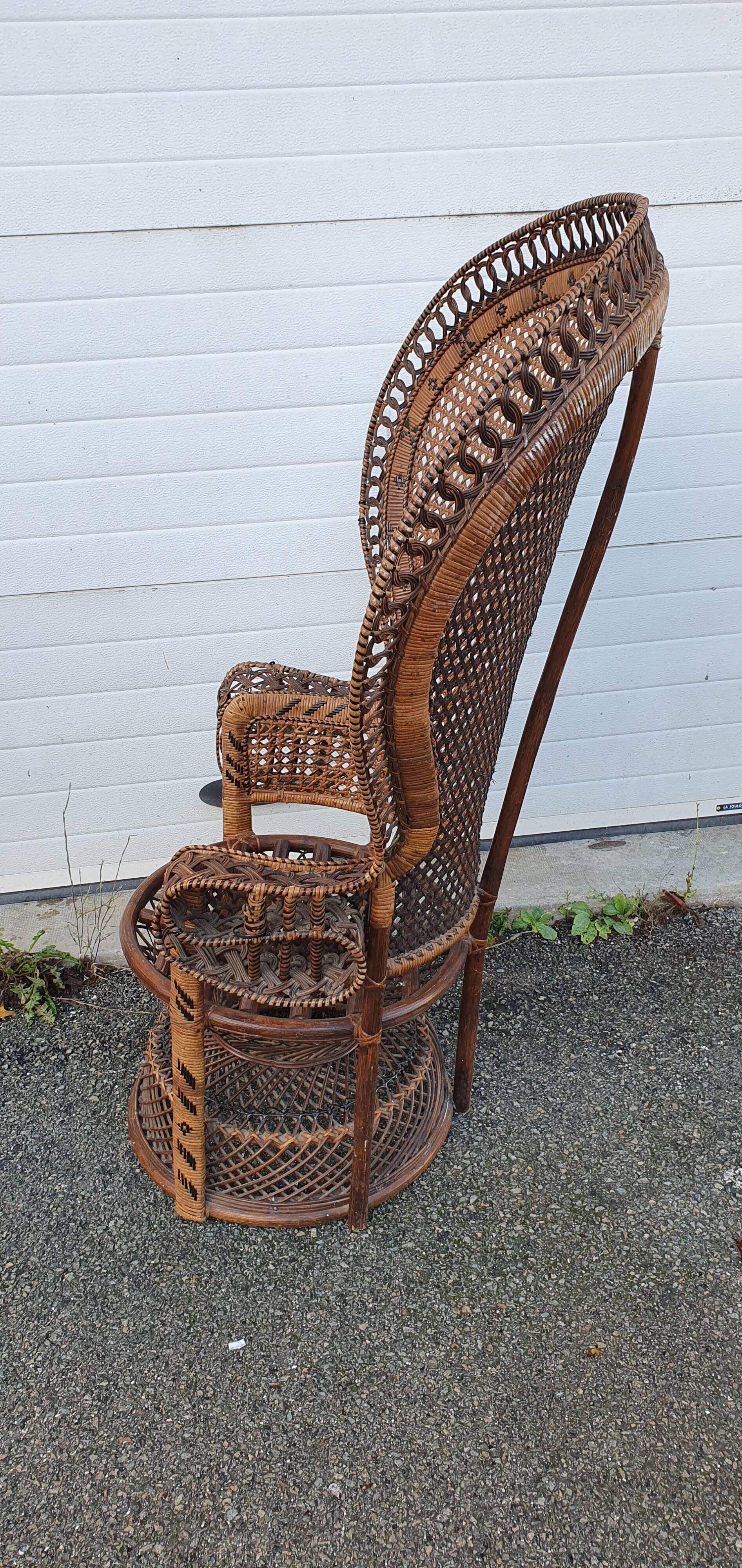 Fauteuil emmanuelle de 1970