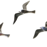Set of 3 chrome gull birds, 15 - 20 -25 cm