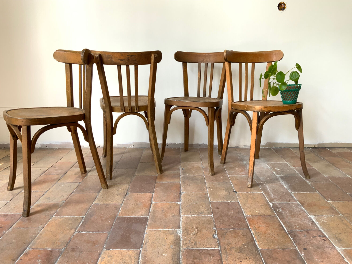 Baumann chairs