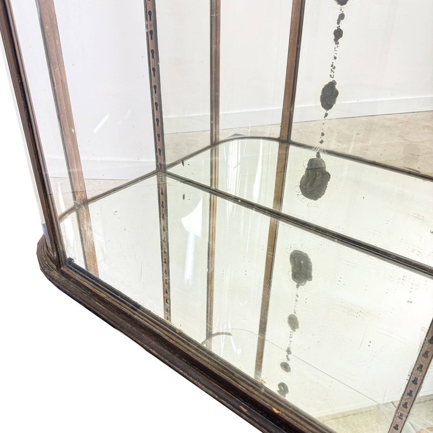 Large Antique Museum Display Cabinet with Curved Glass