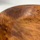 Xxl dish in tuya root