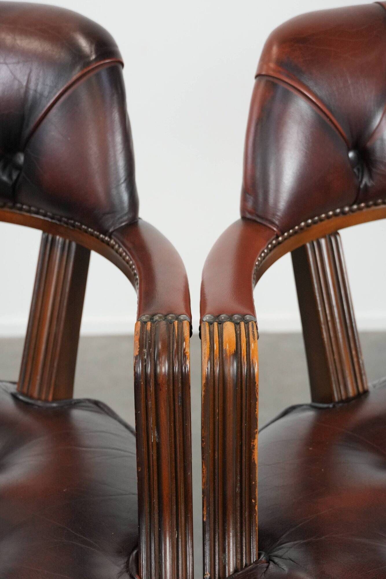 Set of two brown leather Chesterfield dining chairs in English style.