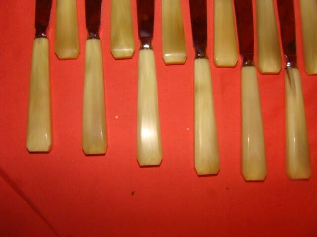 Set of 12 table knives and 12 cheese knives in bone and stainless steel.