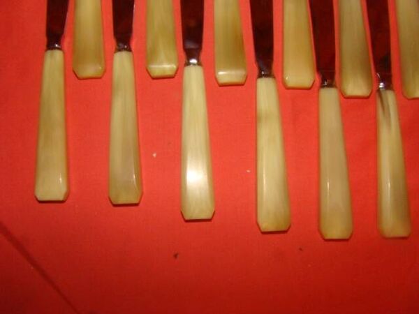 Coffret de 12 couteaux de table et 12 couteaux à fromage en os et inox