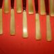 Set of 12 table knives and 12 cheese knives in bone and stainless steel.