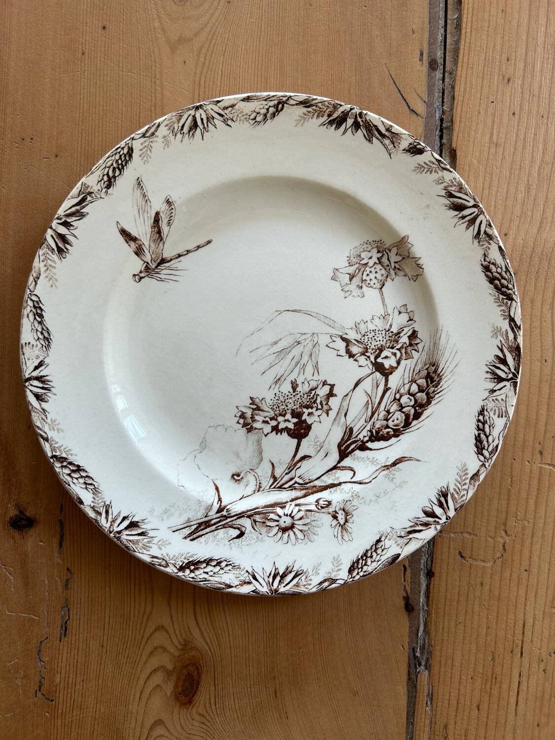 Mismatched set of 6 old flat plates