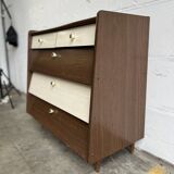 Armoire à chaussures/armoire/armoire vintage