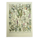 Old engraving 1928 - Medicinal plants by A. Millot. Botany