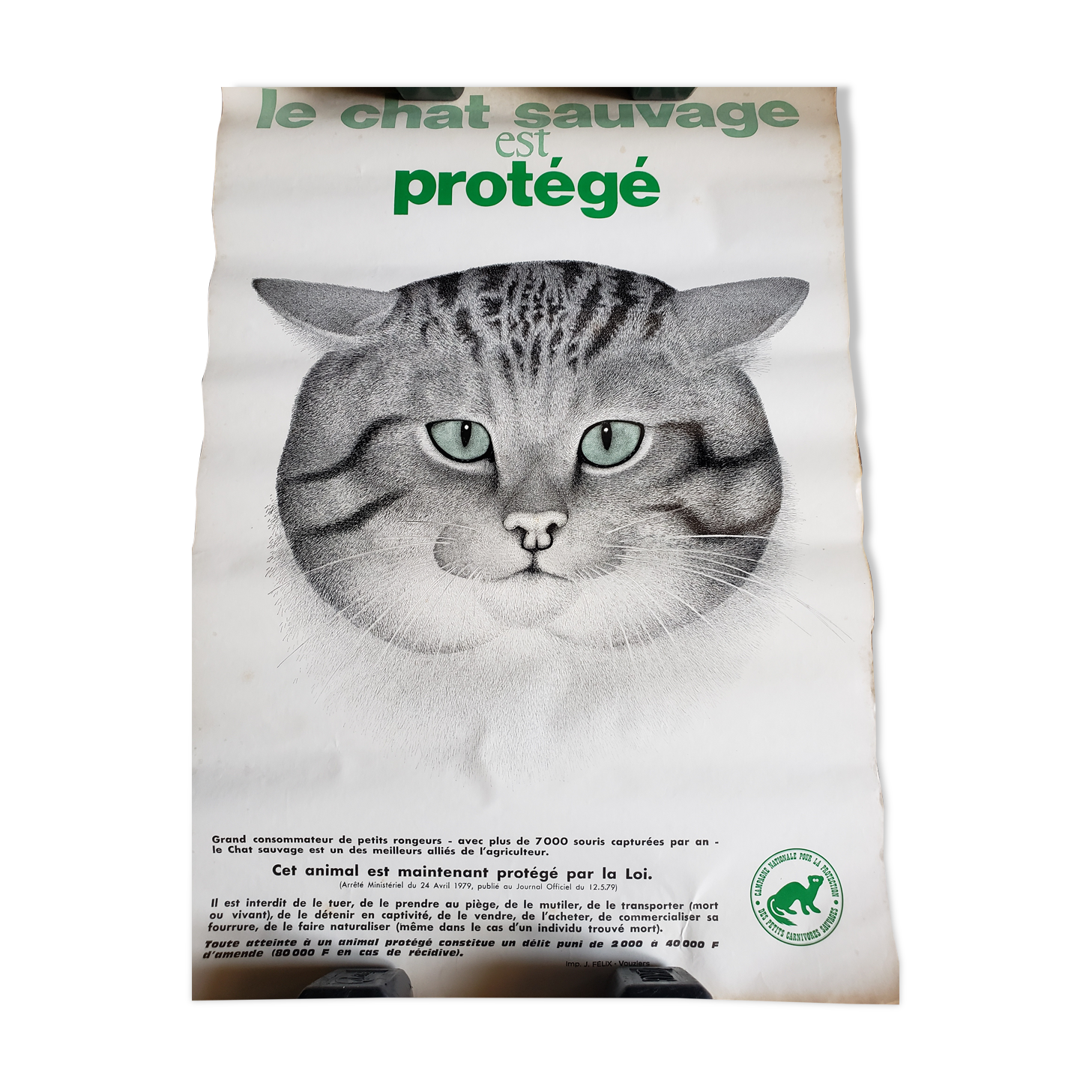 Vintage poster the wild cat is protected