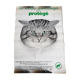Affiche vintage le chat sauvage est protégé