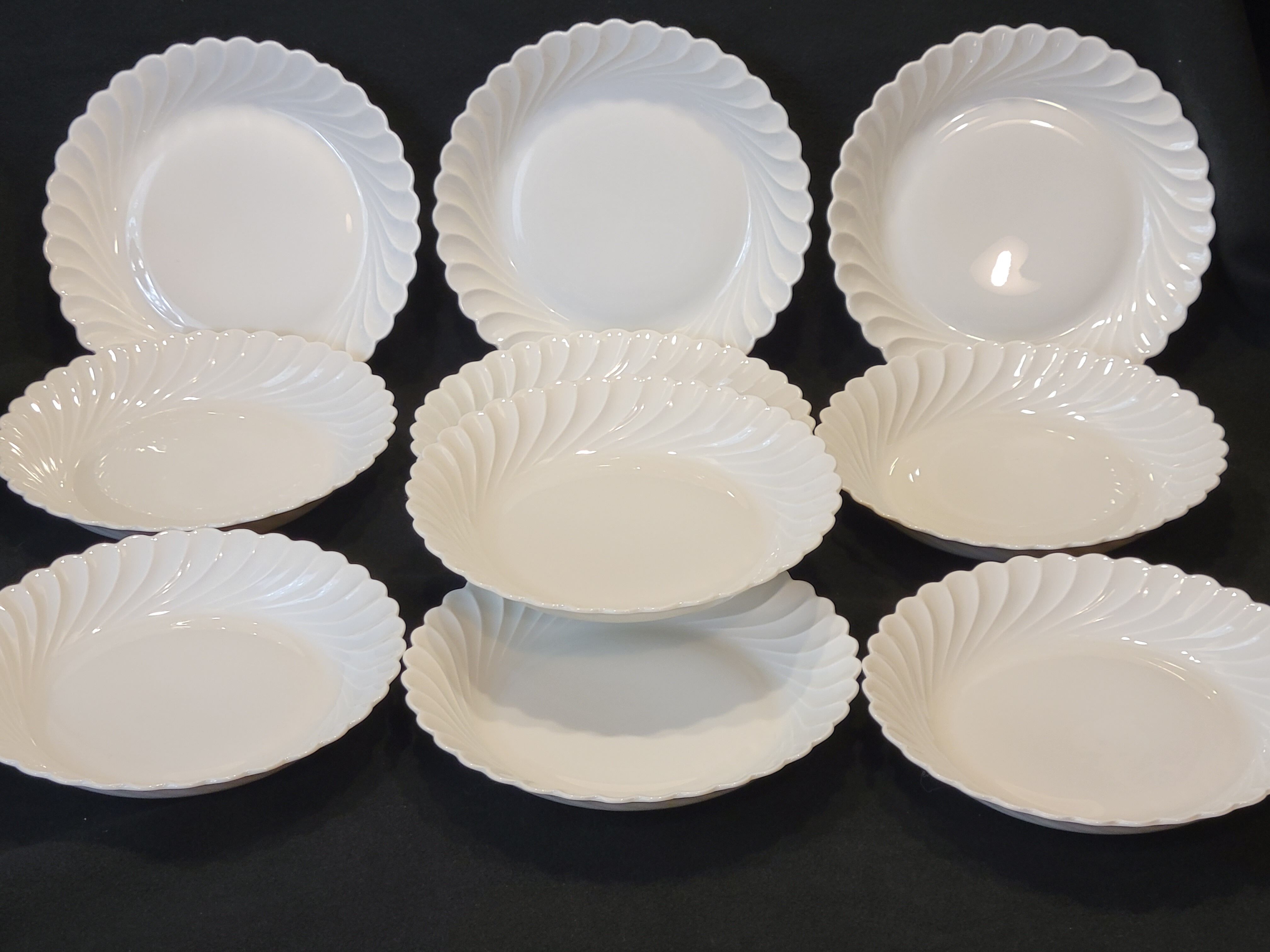 10 Haviland Torso Plates Diameter 19.5 Cm