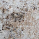 3x10 Antique Vintage Runner Rug 298x78Cm