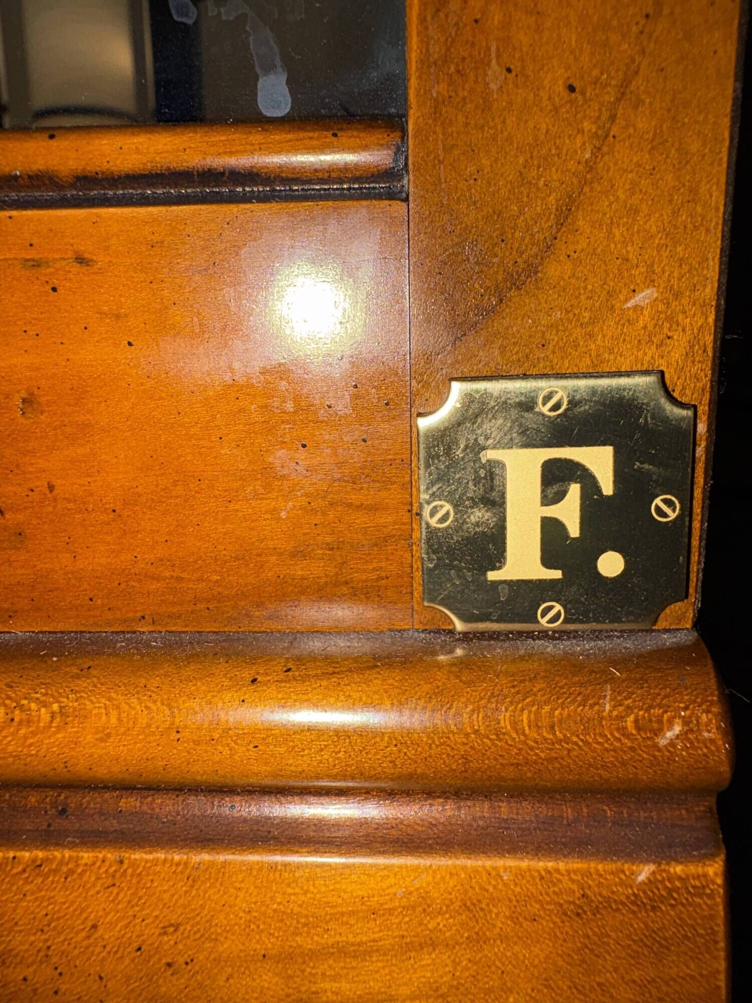 Oval display case Elite Fourrier