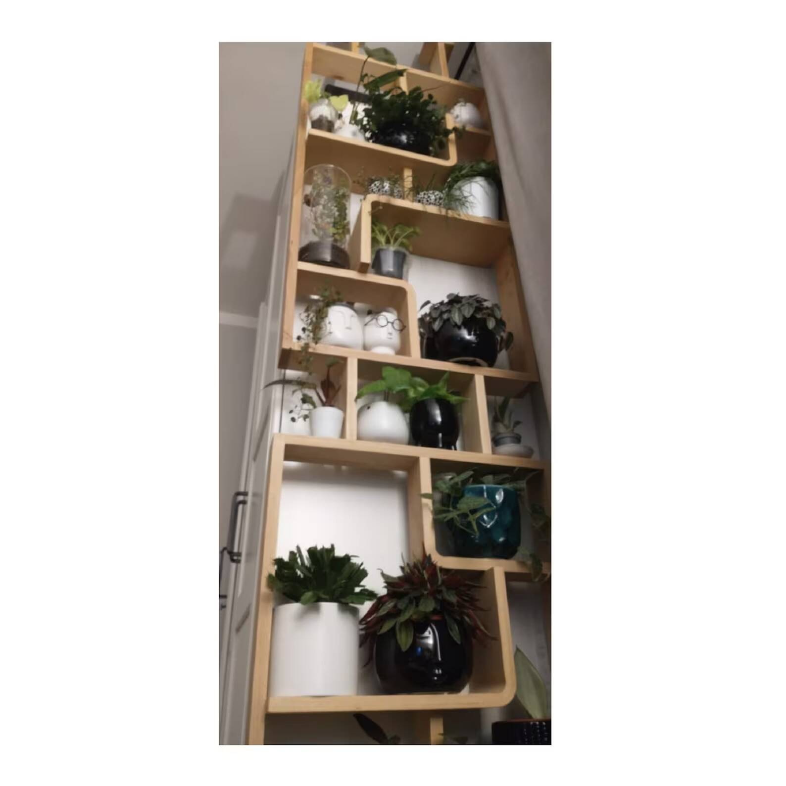 Two screens, partition walls, curved beech wood shelves.