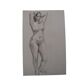 Vintage academic drawing
