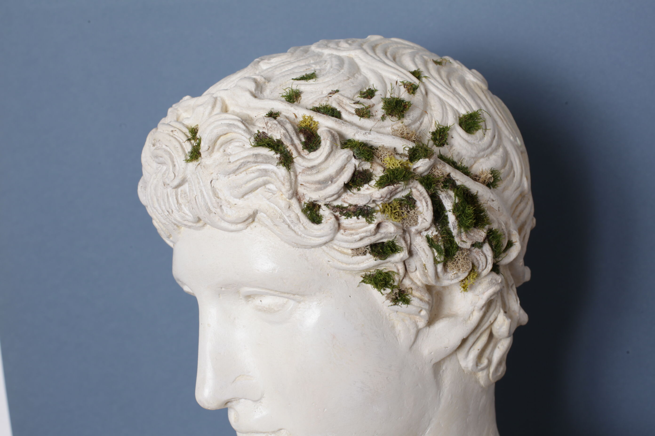 Roman head in waxed plaster