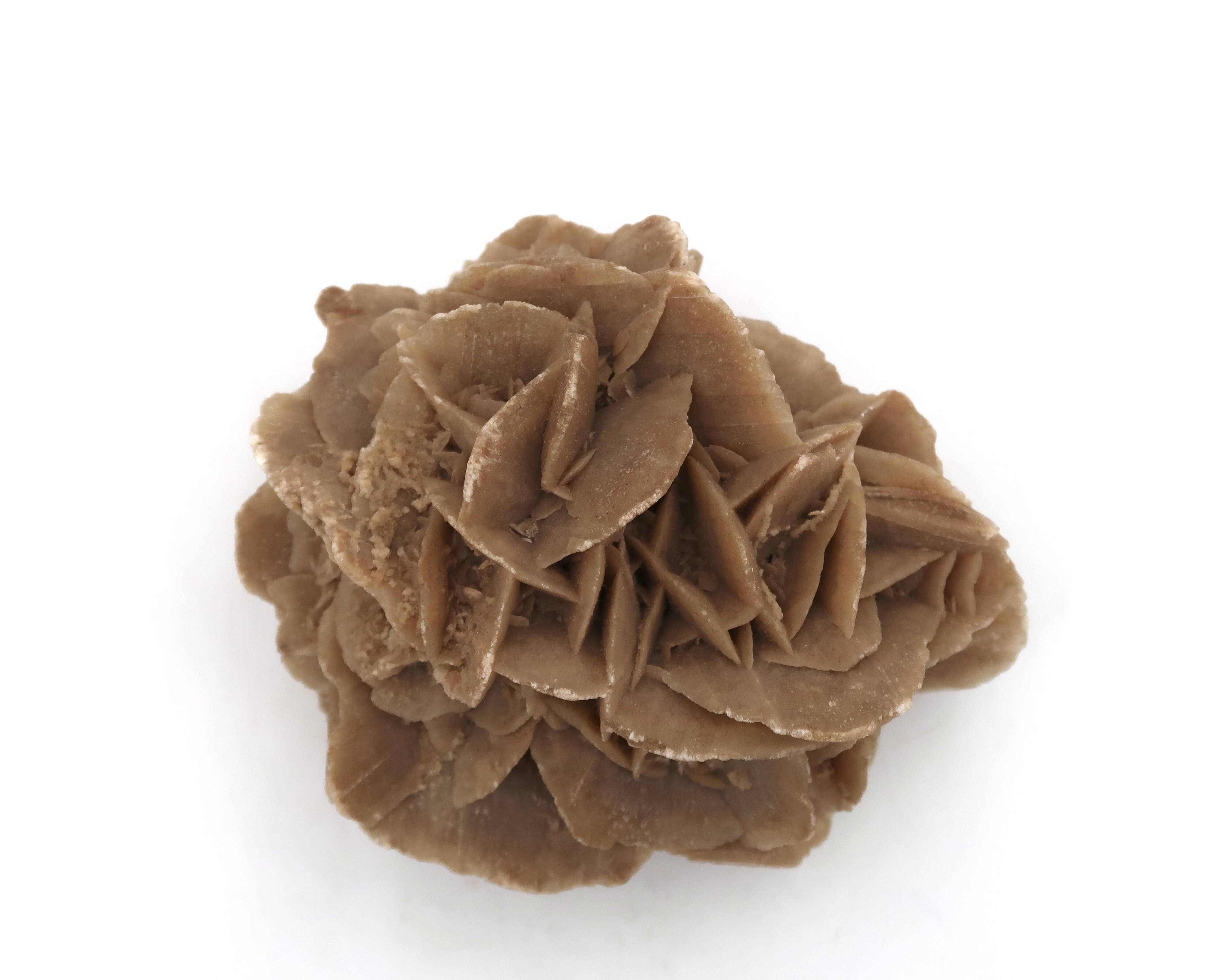 Natural brown sand rose, 1970s