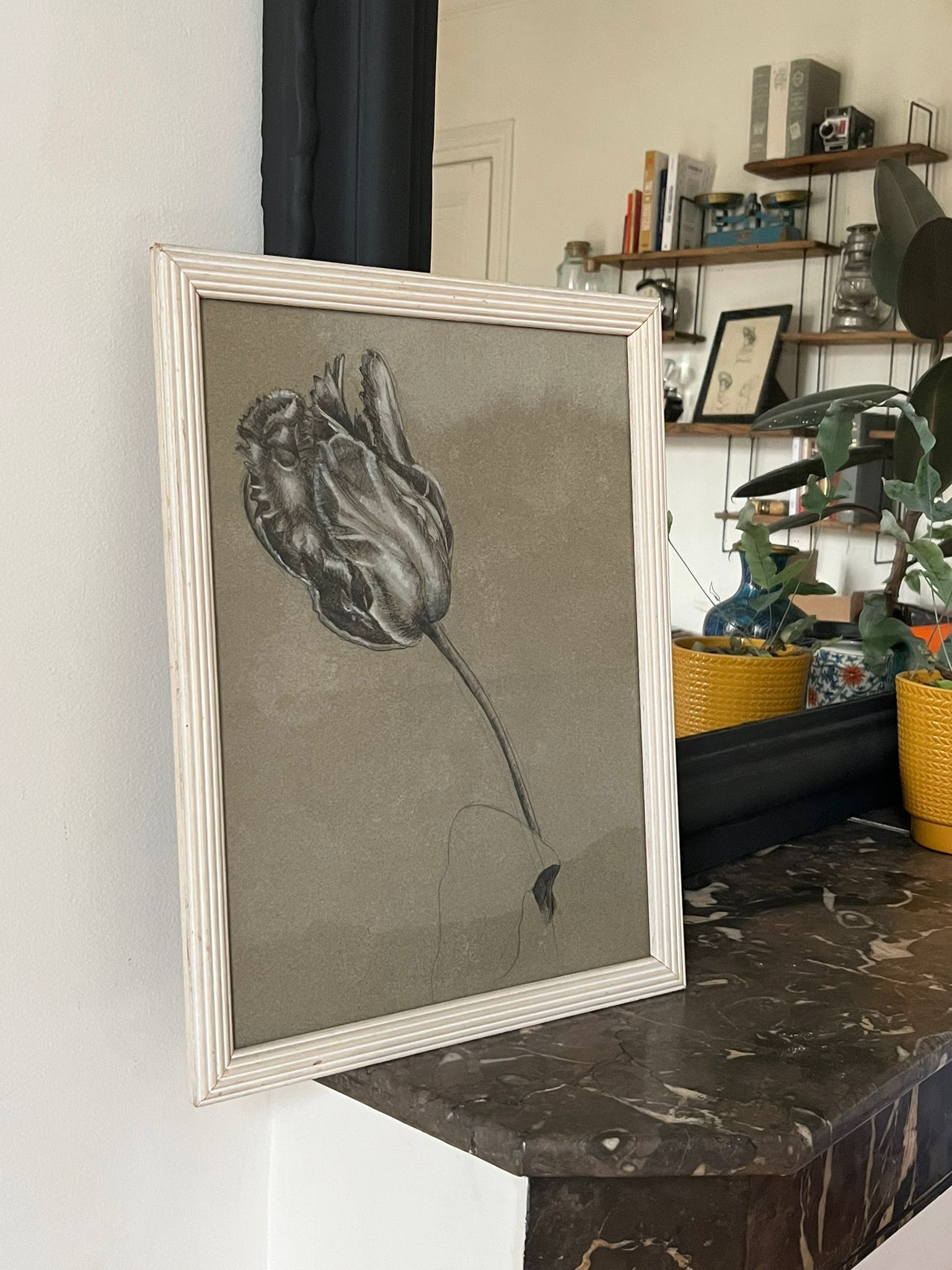 Etude documentaire d'une fleur, drawing, Dumant, 1951