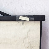 Displays the cuttlefish by Dr Auzoux