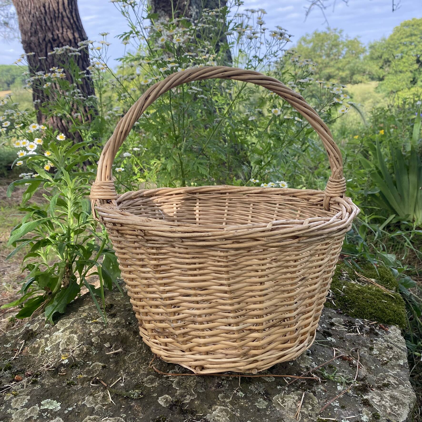 Light woven wicker round basket