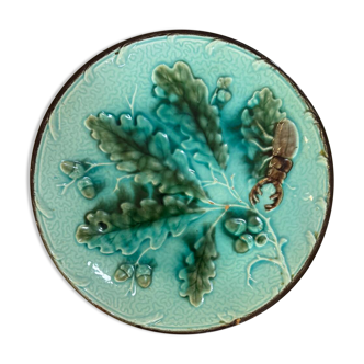 Rare scarab beetle plate