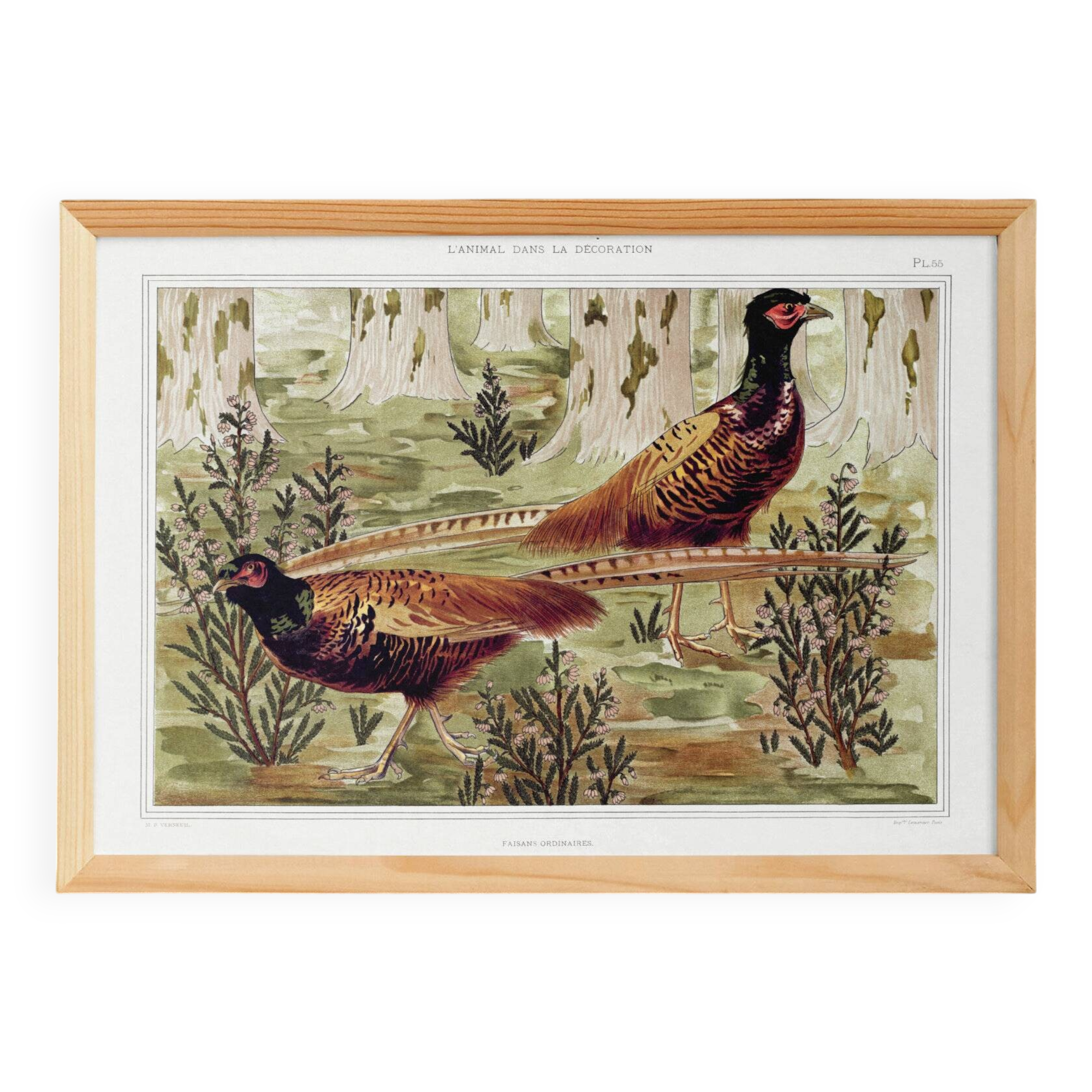 Poster “Ordinary Pheasants”, after an Art Nouveau lithograph from 1897