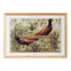 Poster “Ordinary Pheasants”, after an Art Nouveau lithograph from 1897