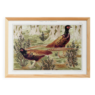 Poster “Ordinary Pheasants”, after an Art Nouveau lithograph from 1897