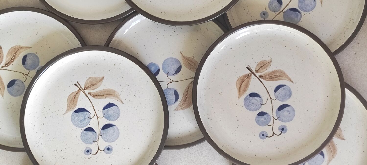 Vintage stoneware plates illustration of currants hand-painted