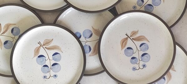 Assiettes en grès vintage illustration groseilles peint main