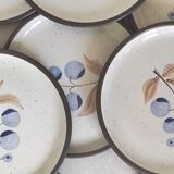 Vintage stoneware plates illustration of currants hand-painted
