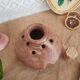 Vase pique flowers Vallauris in vintage sandstone
