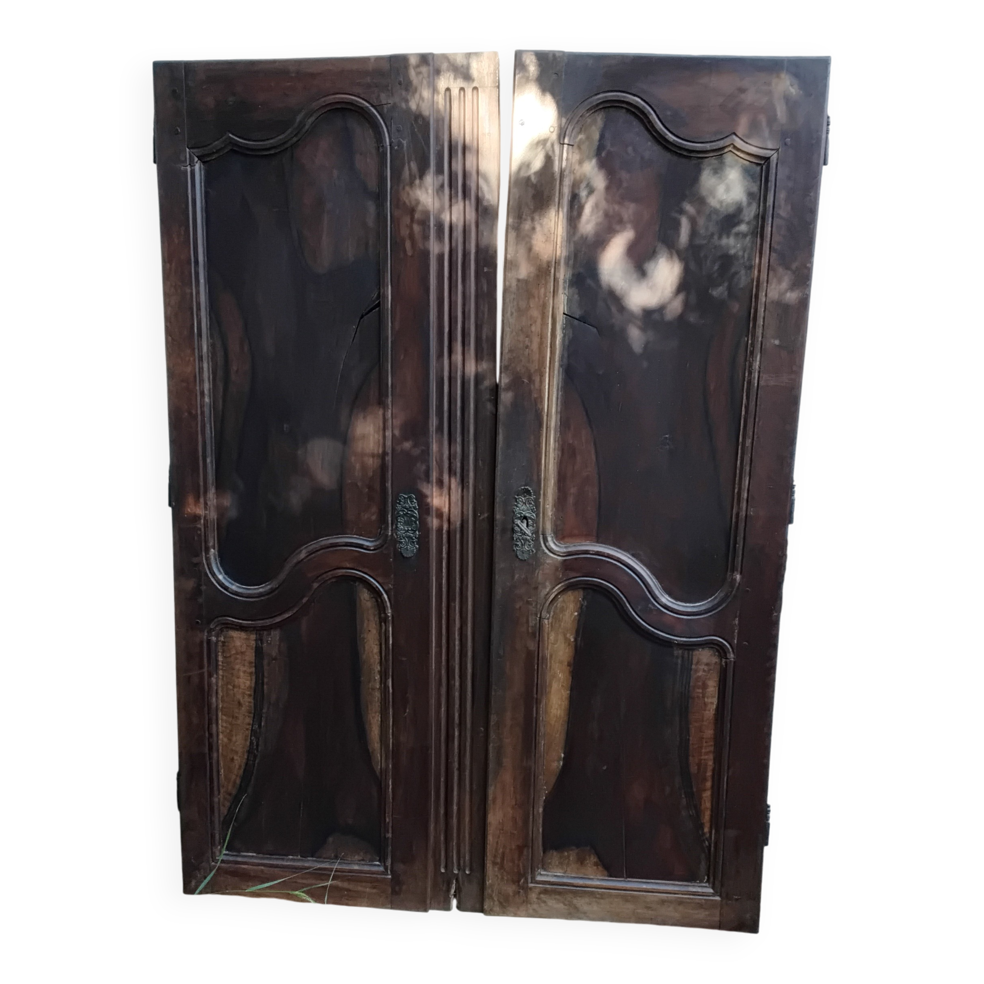Pair of antique doors in 18th-century Louis XV style.
