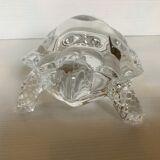Arques crystal turtle