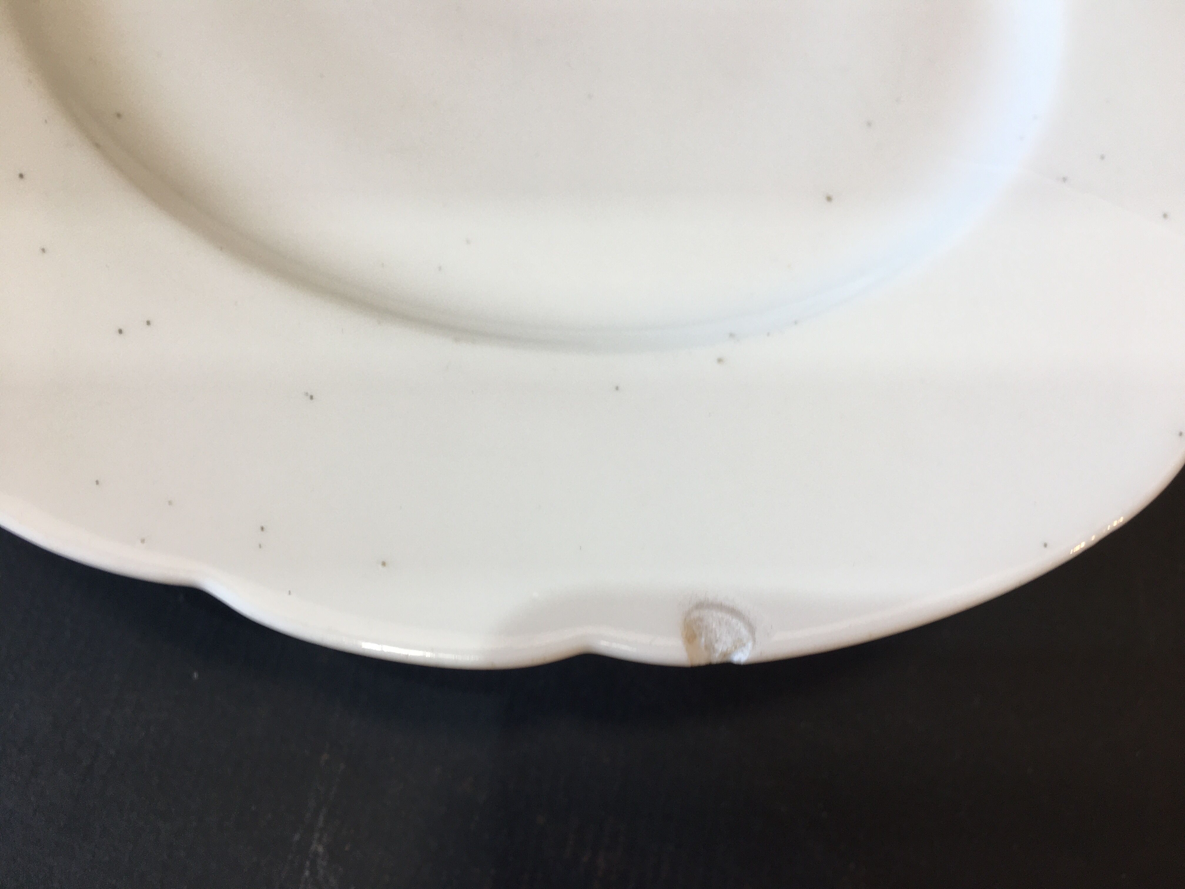 Limoges haviland porcelain presentation plate 1892