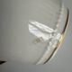 Limoges Porcelain Cup and Saucer | Golden Eagle Handle