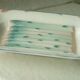 Digoin Sarreguemines earthenware slip asparagus dish