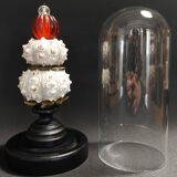 Cabinet de Curiosités globe aux oursins phyllacanthus imperialis